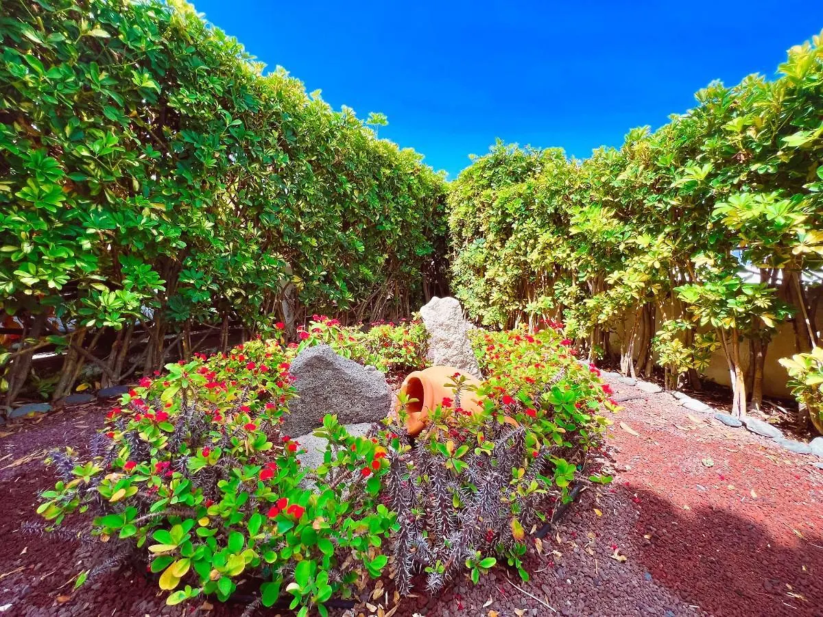 First Line Apartment In El Beril Playa Del Duque Pd1 Costa Adeje  Spain
