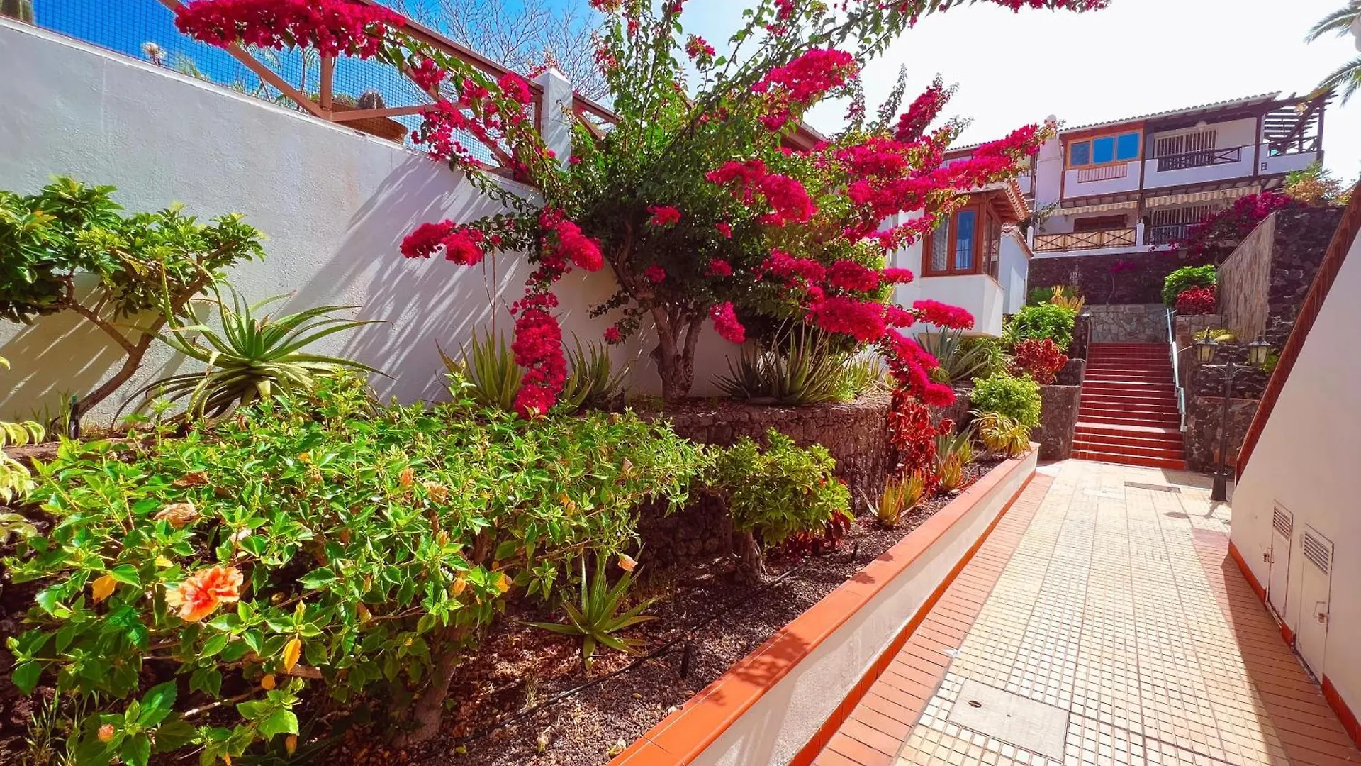 First Line Apartment In El Beril Playa Del Duque Pd1 Costa Adeje